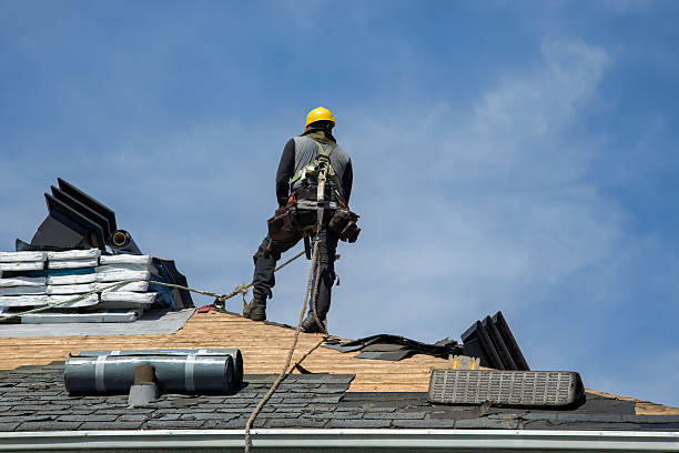 Professional Gutter Installation technician working in Stapleton, AL